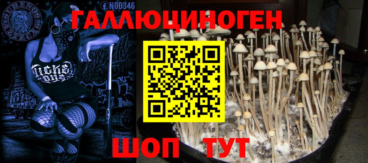 Псилоцибиновые грибы MAGIC MUSHROOMS  Вход с VPN  Ленинск-Кузнецкий  Галлюциногенные грибы MAGIC MUSHROOMS 