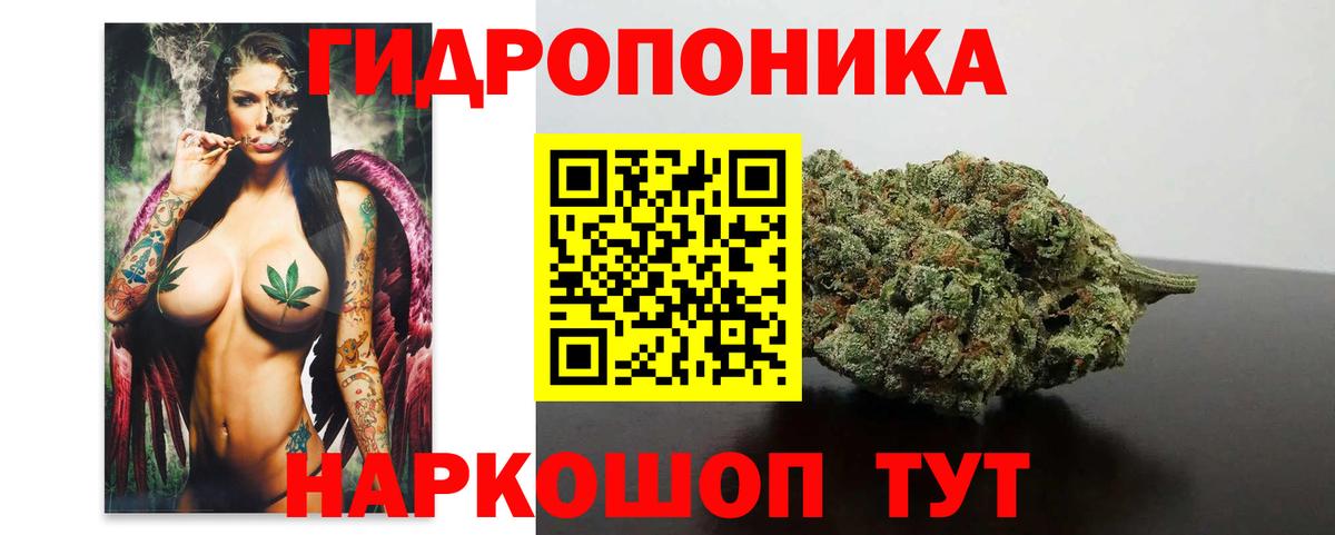 Бошки марихуана семена Ленинск-Кузнецкий